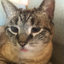 blep